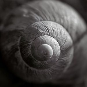 2697676843_0d2ecb3868